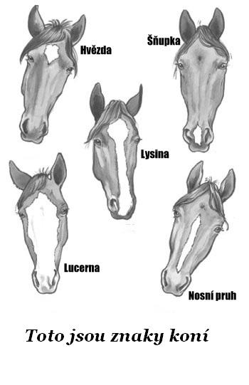 Znaky koni2
